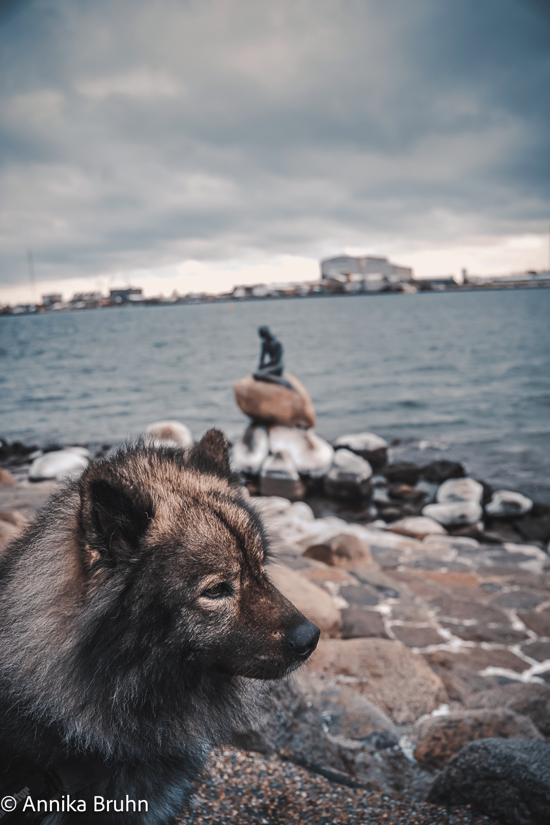 Q und Die Kleine Meerjungfrau